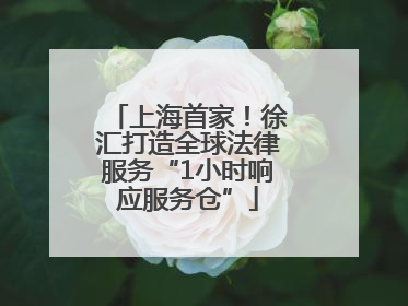 上海首家！徐汇打造全球法律服务“1小时响应服务仓”