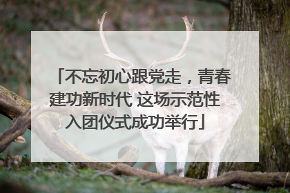 不忘初心跟党走，青春建功新时代 这场示范性入团仪式成功举行