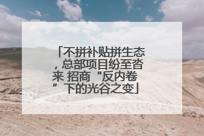 不拼补贴拼生态，总部项目纷至沓来 招商“反内卷”下的光谷之变