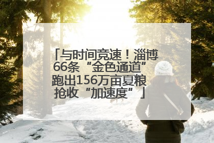 与时间竞速！淄博66条“金色通道”跑出156万亩夏粮抢收“加速度”