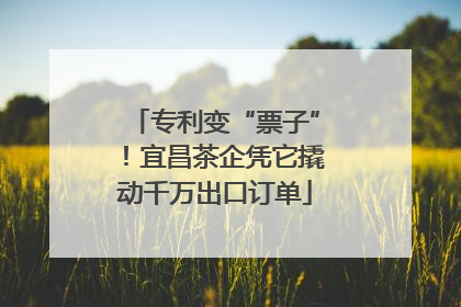 专利变“票子”！宜昌茶企凭它撬动千万出口订单