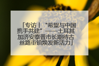 专访丨“希望与中国携手共建”——土耳其加济安泰普市长期待古丝路重镇焕发新活力