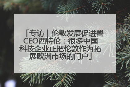 专访丨伦敦发展促进署CEO西特伦：很多中国科技企业正把伦敦作为拓展欧洲市场的门户