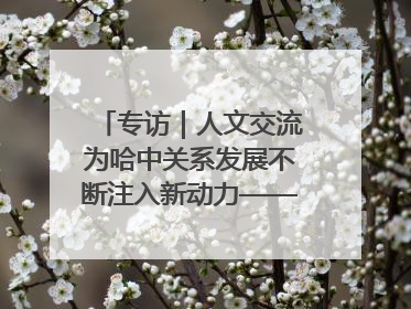 专访｜人文交流为哈中关系发展不断注入新动力——访哈萨克斯坦文化与信息部部长巴拉耶娃