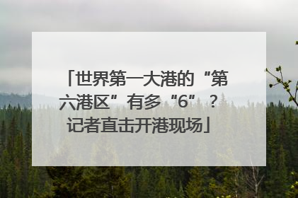 世界第一大港的“第六港区”有多“6”？记者直击开港现场