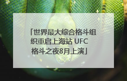 世界最大综合格斗组织重启上海站 UFC格斗之夜8月上演