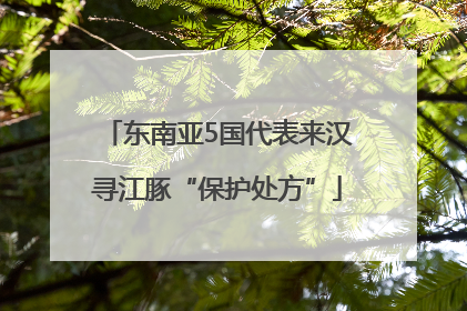 东南亚5国代表来汉寻江豚“保护处方”