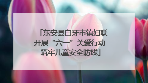 东安县白牙市镇妇联开展“六一”关爱行动 筑牢儿童安全防线