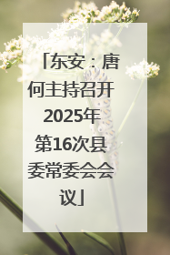 东安：唐何主持召开2025年第16次县委常委会会议
