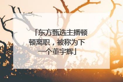 东方甄选主播顿顿离职，被称为下一个董宇辉