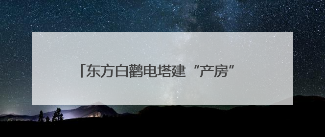 东方白鹳电塔建“产房” “陕电入皖”架线延工期