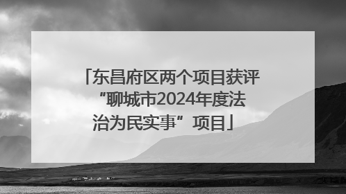 东昌府区两个项目获评“聊城市2024年度法治为民实事”项目