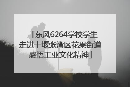 东风6264学校学生走进十堰张湾区花果街道感悟工业文化精神