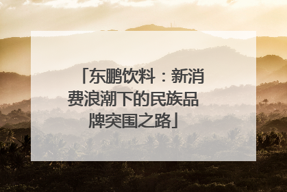 东鹏饮料：新消费浪潮下的民族品牌突围之路