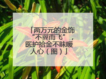 两万元的金饰“不翼而飞”，医护拾金不昧暖人心（图）