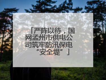 严阵以待，国网孟州市供电公司筑牢防汛保电“安全堤”