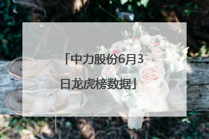 中力股份6月3日龙虎榜数据