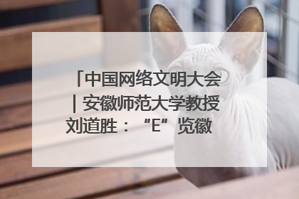 中国网络文明大会｜安徽师范大学教授刘道胜：“E”览徽风，构筑中华民族共有精神家园