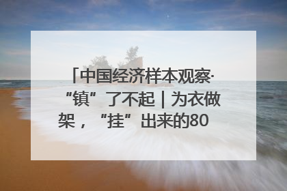 中国经济样本观察·“镇”了不起｜为衣做架，“挂”出来的80亿元“衣架产业”