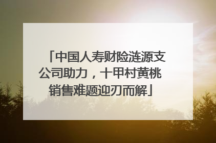 中国人寿财险涟源支公司助力，十甲村黄桃销售难题迎刃而解