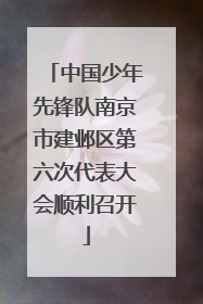 中国少年先锋队南京市建邺区第六次代表大会顺利召开