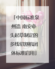 中国标准泉州造 南安牵头起草制定的多线切割机团体标准启用