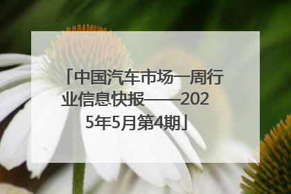 中国汽车市场一周行业信息快报——2025年5月第4期