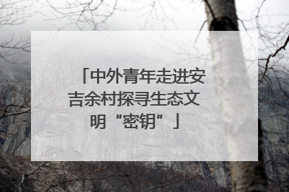 中外青年走进安吉余村探寻生态文明“密钥”