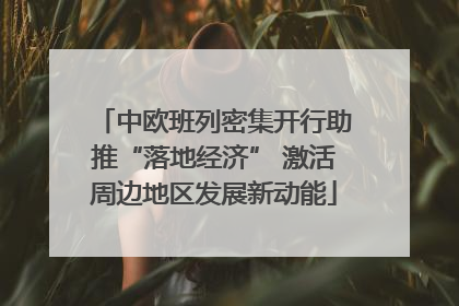 中欧班列密集开行助推“落地经济” 激活周边地区发展新动能