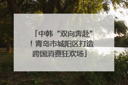 中韩“双向奔赴”！青岛市城阳区打造跨国消费狂欢场