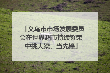 义乌市市场发展委员会在世界超市持续繁荣中挑大梁、当先锋