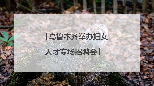 乌鲁木齐举办妇女人才专场招聘会
