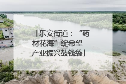 乐安街道：“药材花海”绽希望 产业振兴鼓钱袋