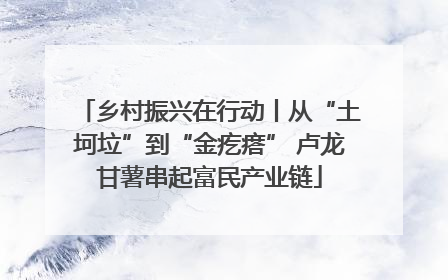 乡村振兴在行动丨从“土坷垃”到“金疙瘩” 卢龙甘薯串起富民产业链