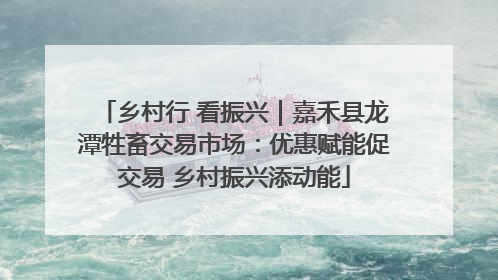 乡村行 看振兴｜嘉禾县龙潭牲畜交易市场：优惠赋能促交易 乡村振兴添动能