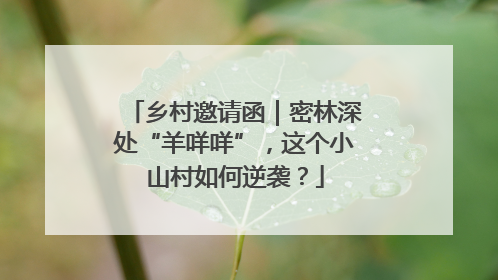 乡村邀请函｜密林深处“羊咩咩”，这个小山村如何逆袭？