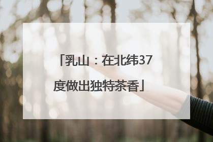 乳山：在北纬37度做出独特茶香
