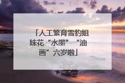 人工繁育雪豹姐妹花“水墨”“油画”六岁啦