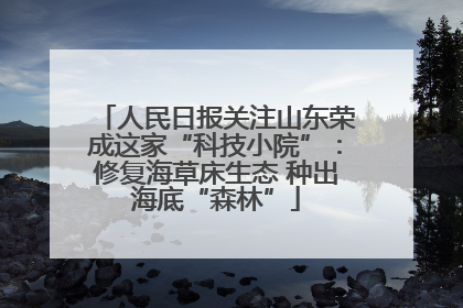 人民日报关注山东荣成这家“科技小院”：修复海草床生态 种出海底“森林”