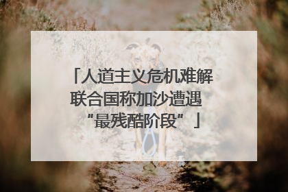 人道主义危机难解 联合国称加沙遭遇“最残酷阶段”