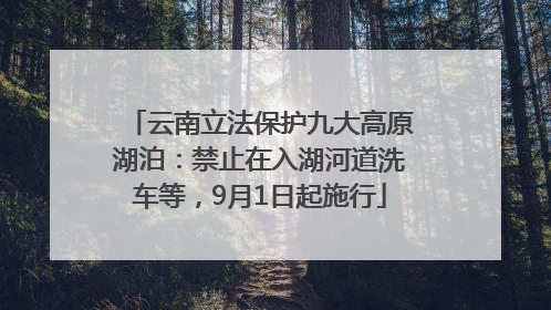 云南立法保护九大高原湖泊：禁止在入湖河道洗车等，9月1日起施行
