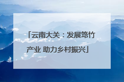 云南大关：发展筇竹产业 助力乡村振兴