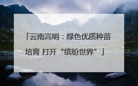 云南嵩明：绿色优质种苗培育 打开“缤纷世界”