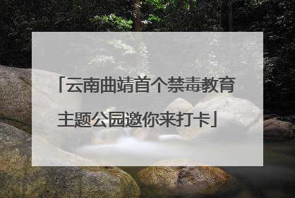 云南曲靖首个禁毒教育主题公园邀你来打卡
