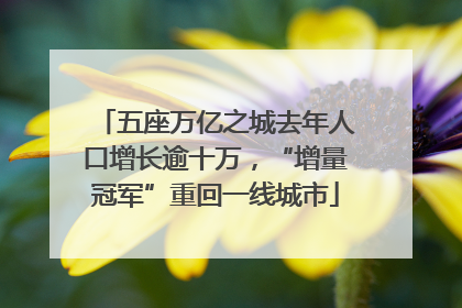 五座万亿之城去年人口增长逾十万，“增量冠军”重回一线城市