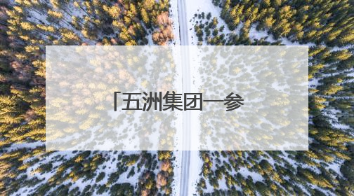 五洲集团一参建项目获奖