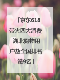 京东618带火四大消费 湖北购物用户数全国排名第9名