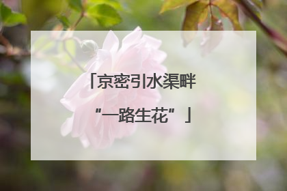 京密引水渠畔“一路生花”