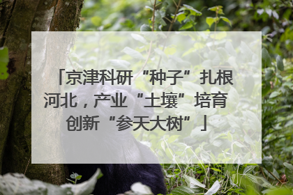京津科研“种子”扎根河北，产业“土壤”培育创新“参天大树”