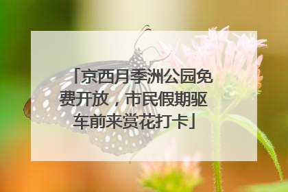京西月季洲公园免费开放，市民假期驱车前来赏花打卡